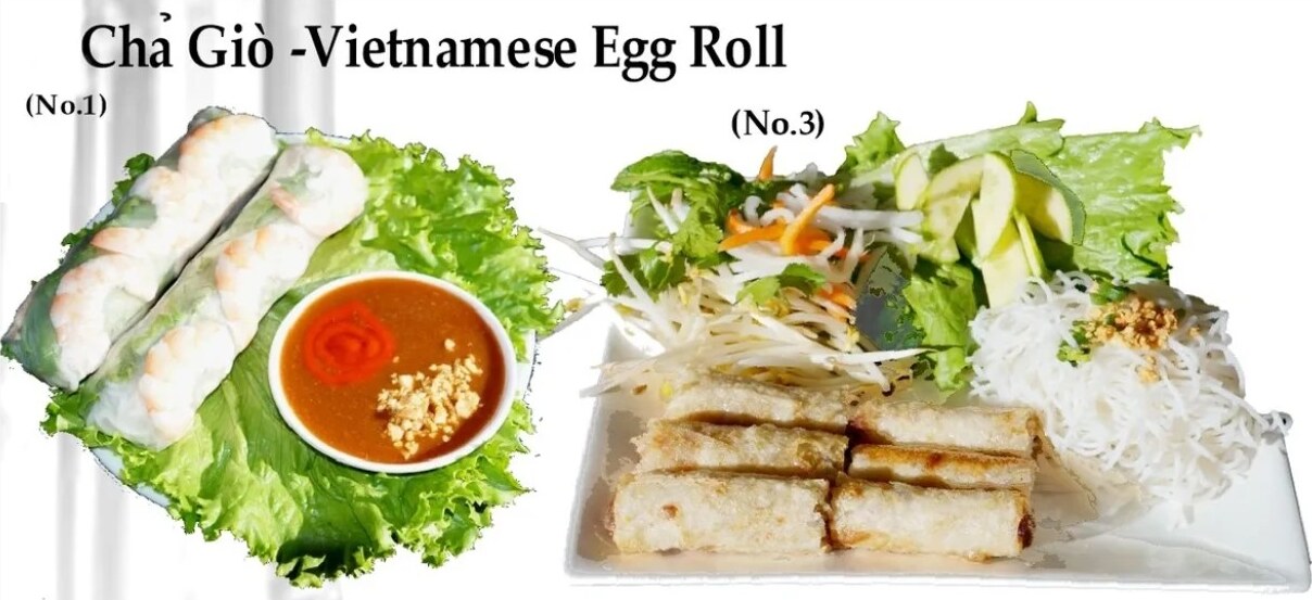 Appetizers — spring rolls and crab wontons